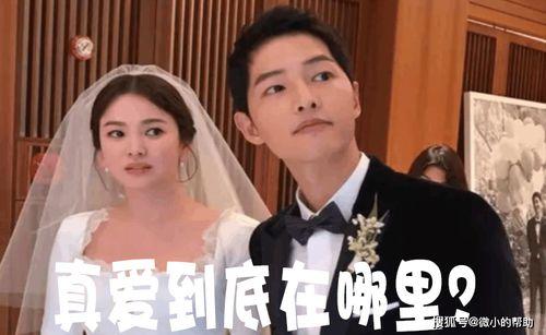 娱乐圈吃瓜事件团体,揭秘吃瓜团体背后的精彩故事  第3张